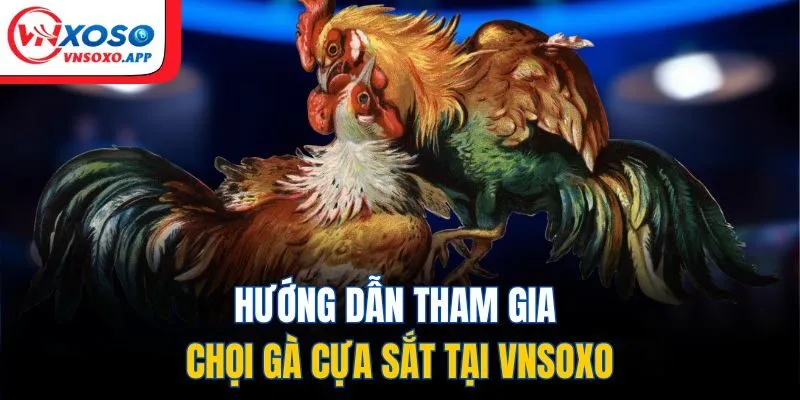 Hướng dẫn tham gia chọi gà cựa sắt tại Vnxoso