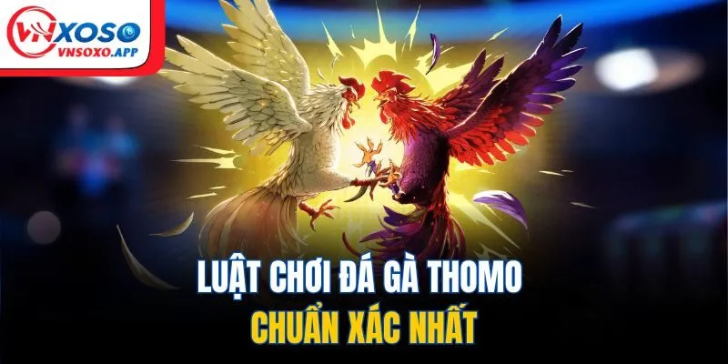 Luật chơi đá gà thomo chuẩn xác nhất
